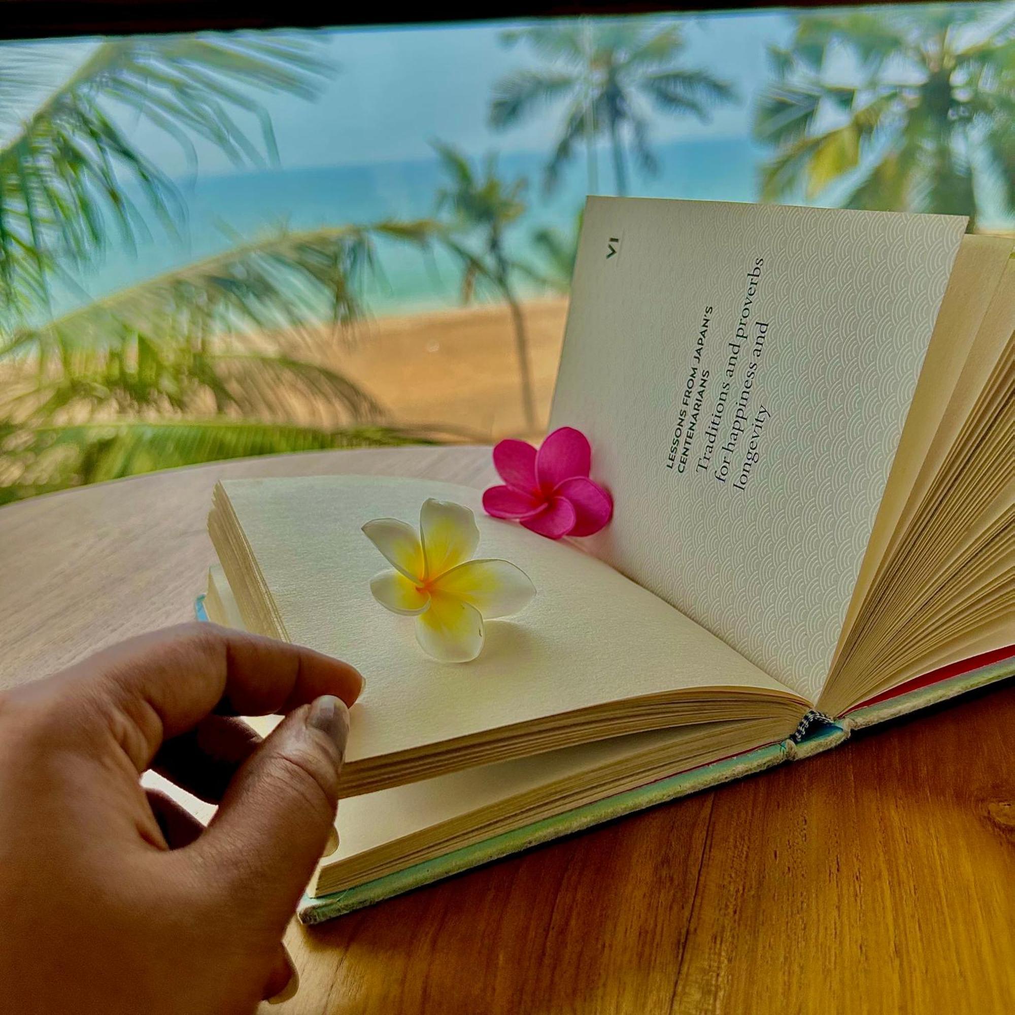 Santa Maria, Trivandrum - An Airport Boutique By The Sea Bed & Breakfast Thiruvananthapuram Bagian luar foto