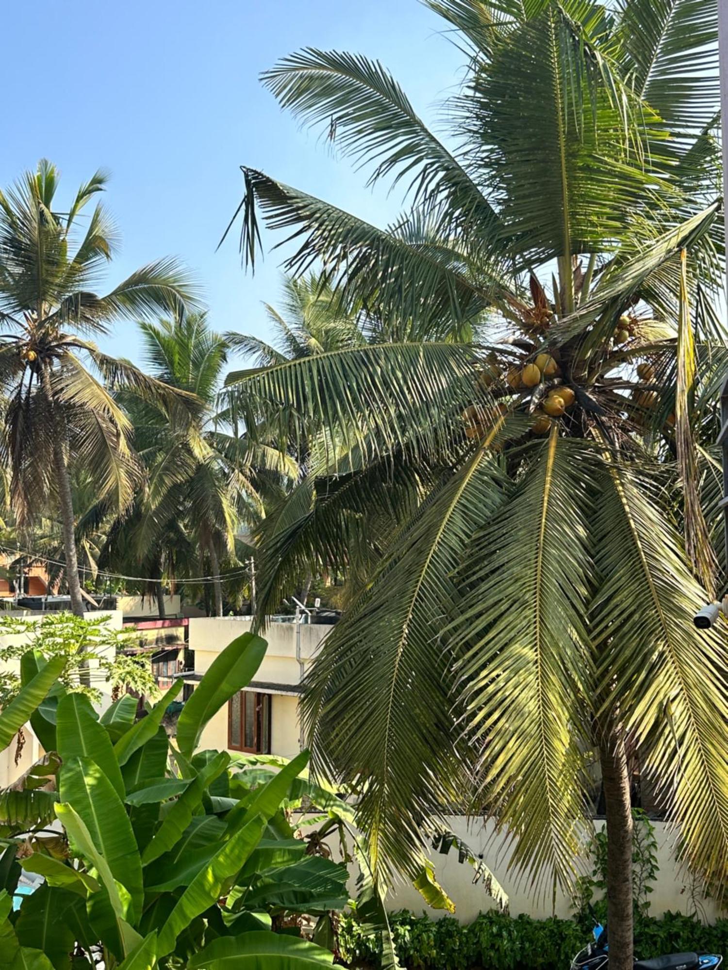 Santa Maria, Trivandrum - An Airport Boutique By The Sea Bed & Breakfast Thiruvananthapuram Bagian luar foto