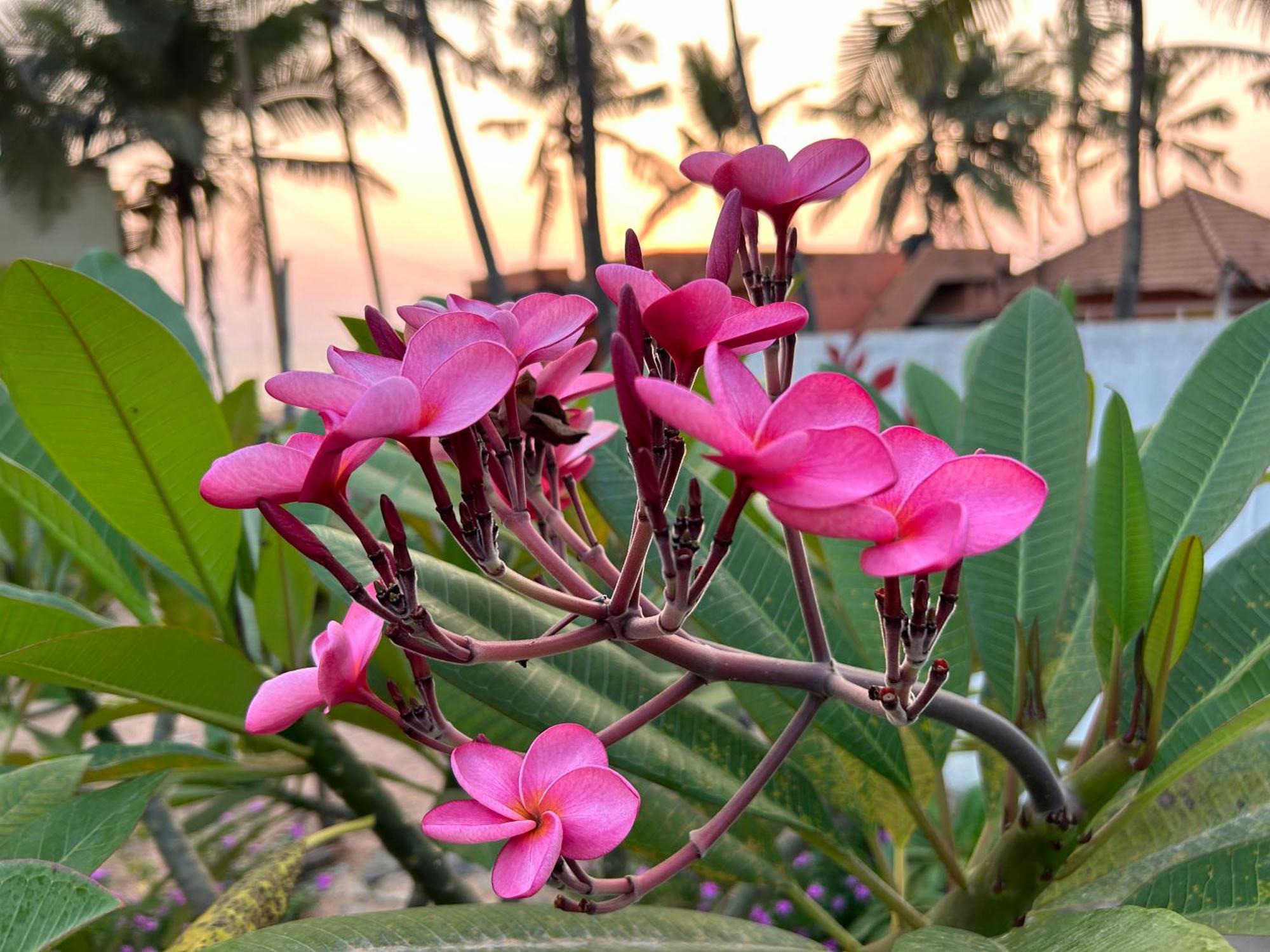 Santa Maria, Trivandrum - An Airport Boutique By The Sea Bed & Breakfast Thiruvananthapuram Bagian luar foto